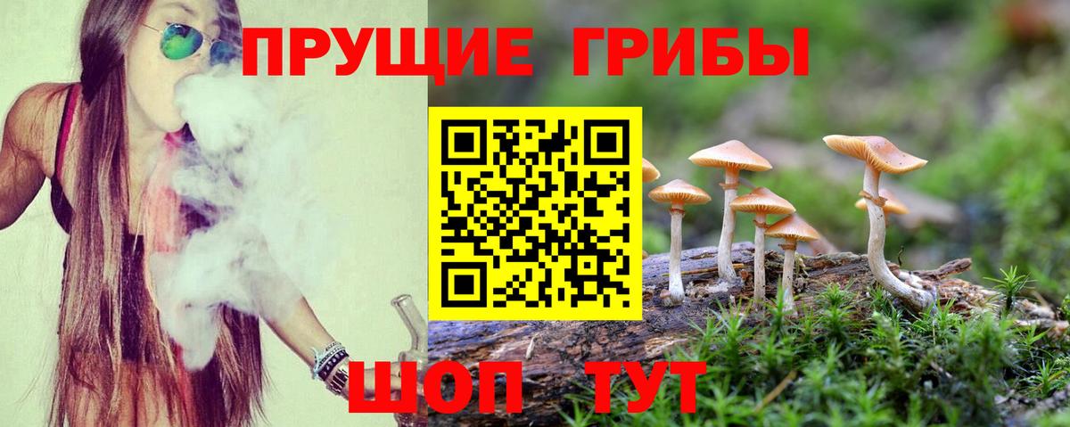 Псилоцибиновые грибы MAGIC MUSHROOMS Волоколамск